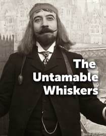 The Untamable Whiskers