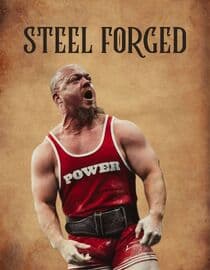 Steel Forged