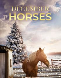 December Horses