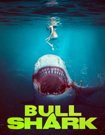 Bull Shark