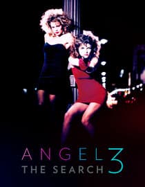 Angel III: The Final Chapter