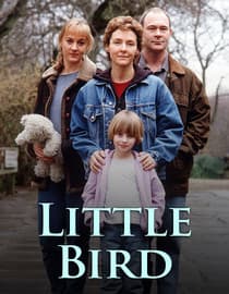 Little Bird