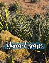 Yucca Escape