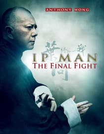 Ip Man: The Final Fight