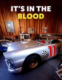 Its in the Blood