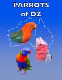 Parrots of Oz