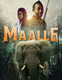 Maalle