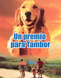 Un premio para Tambor