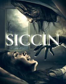 Siccin