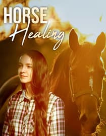 Horse Healing