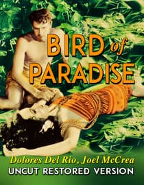 Birds of Paradise