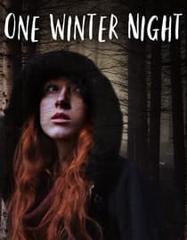 One Winter Night