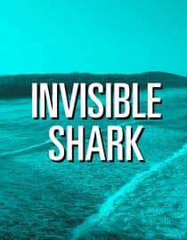 Invisible Shark