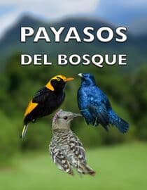 Payasos del Bosque