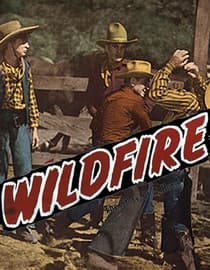 Wildfire: The Story of a Horse