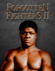 Forgotten Fighters II