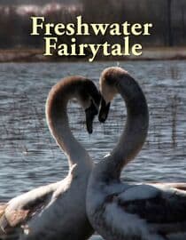 Freshwater Fairytale