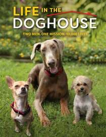Life in the Doghouse