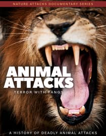 Animal Attacks