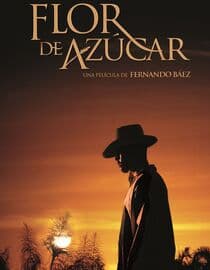 Flor de Azucar