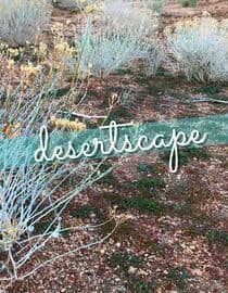 Desertscape