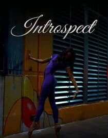Introspect