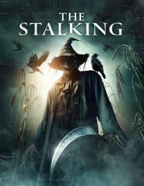 The Stalking