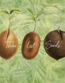 Three Lost Seeds: Stories of Becoming