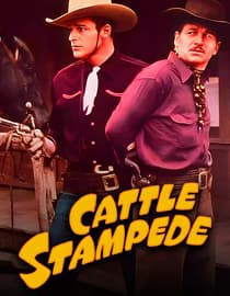 Cattle Stampede