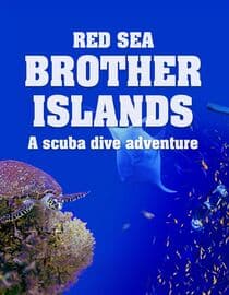 Red Sea: Brother Islands a Scuba Dive Adventure