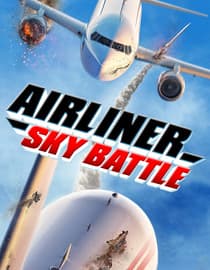 Airliner Sky Battle
