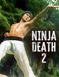 Ninja Death 2