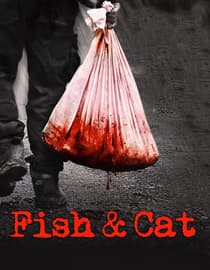Fish & Cat