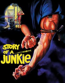 Story Of A Junkie