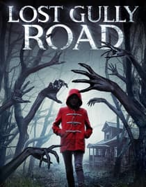Lost Gully Road