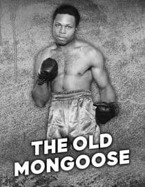 The Old Mongoose