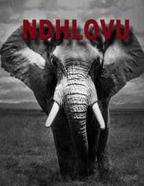 Ndhlovu