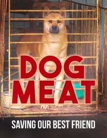 Dog Meat: Saving Our Best Friend