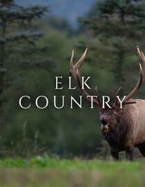 Elk Country
