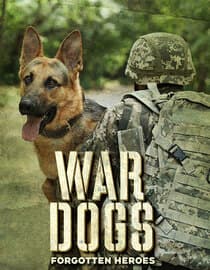 War Dogs