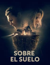 Sobre el suelo
