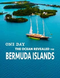 One Day, the Ocean Revealed the Bermuda Islands
