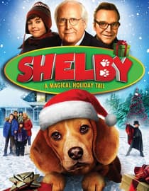 Shelby: A Magical Holiday Tail