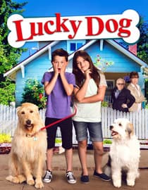 Lucky Dog