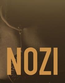 Nozi