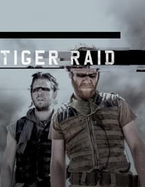 Tiger Raid