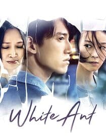 White Ant