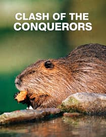 Clash of the Conquerors