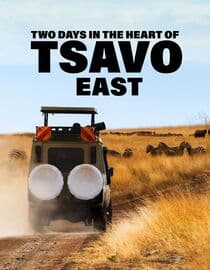 Two Days in the Heart of Tsavo East