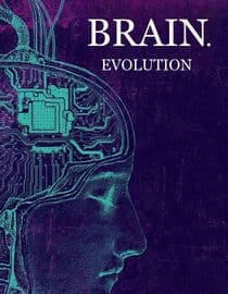 Brain. Evolution